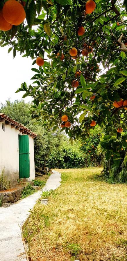 L'Aranceto Villa Acireale Exteriör bild