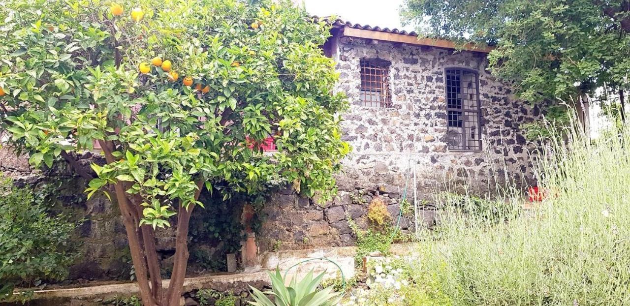 L'Aranceto Villa Acireale Exteriör bild