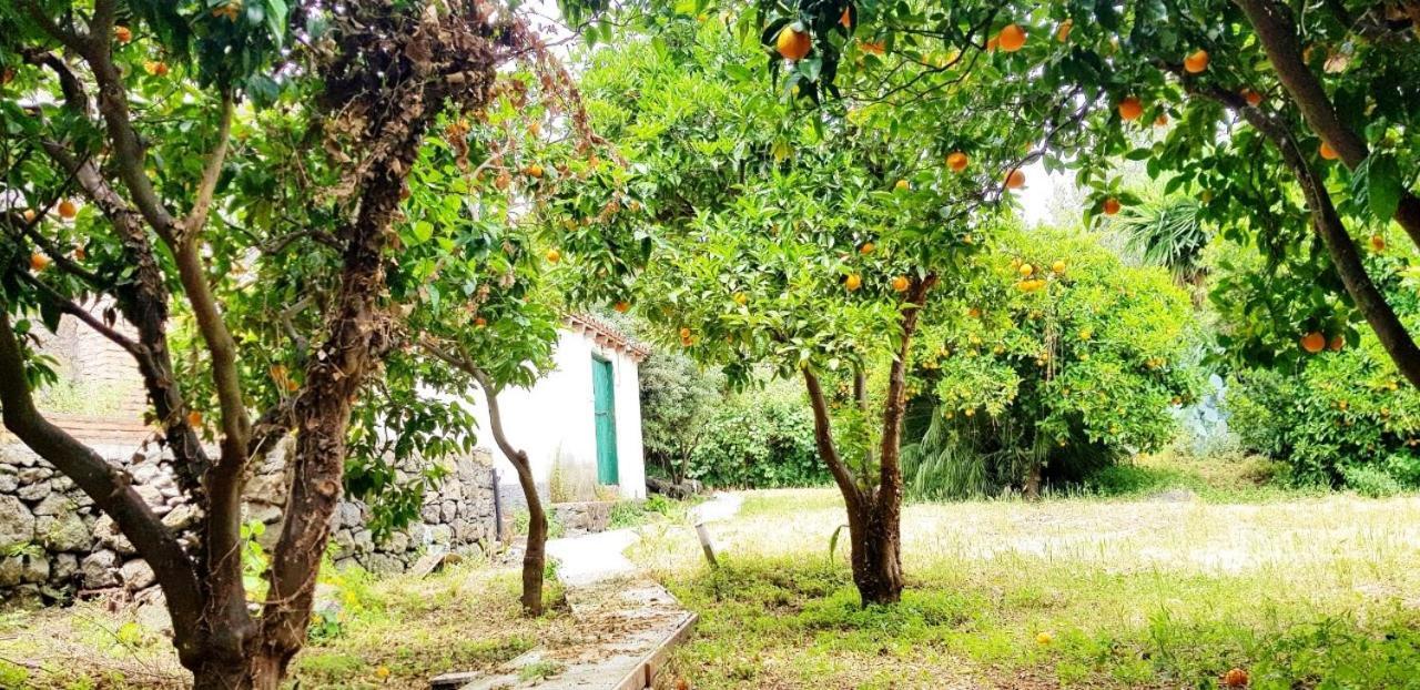 L'Aranceto Villa Acireale Exteriör bild